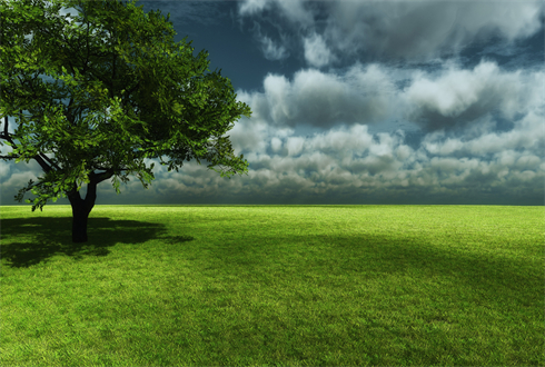 01686_afternoonshadows_1920x1080.jpg
