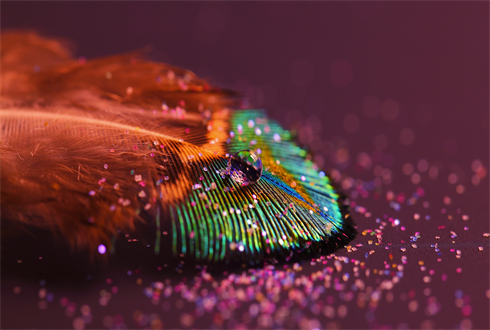 03084_featherlight_1920x1080.jpg