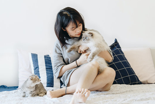 吃货的搞笑经典句子