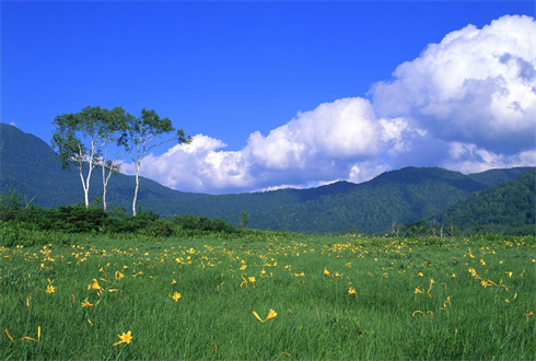 自然风景背景图 (122).jpg