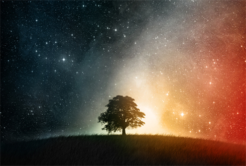 01968_cosmosition_1920x1080.jpg