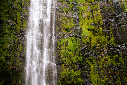 03275_waimokufalls_1920x1080.jpg