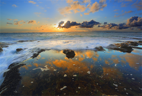 03270_anemonepoolreflections_1920x1080.jpg