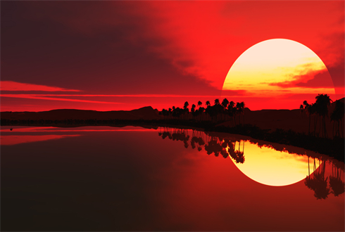 01950_palmontheleft_1920x1080.jpg