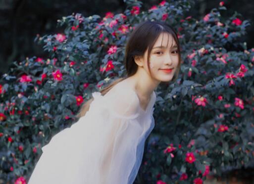 形容花开的漂亮的短句